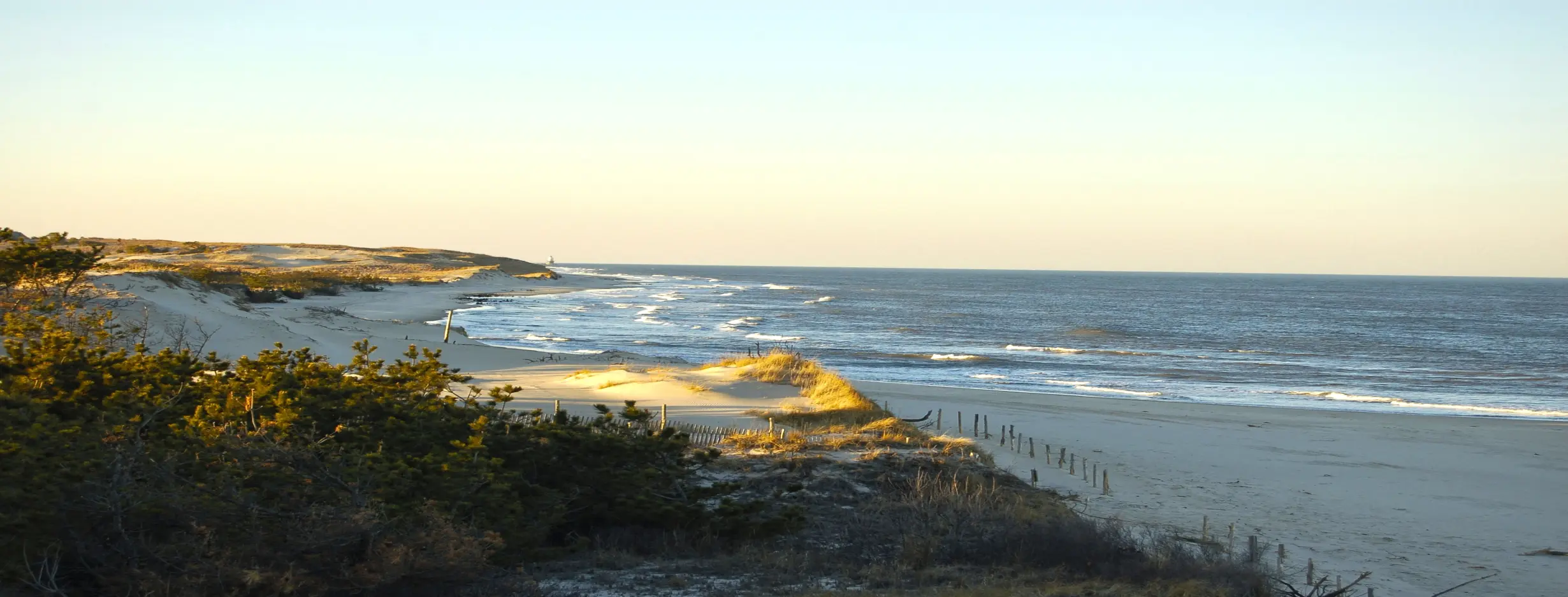 Image for Coastal Gem